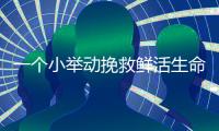 一个小举动挽救鲜活生命！珠海快递小哥化身“城市哨兵”