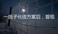 一揽子化债方案后，首现城投“统借统还”案例