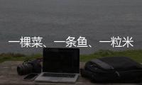 一棵菜�
、一条鱼、一粒米
：年轻人热衷务农的“乡村振兴密码”