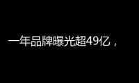 快排公司十年历程，霸屏兔 seo 的崛起与坚守