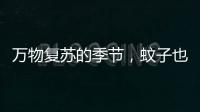 万物复苏的季节，蚊子也“醒”了	？早春灭蚊指南请收下
