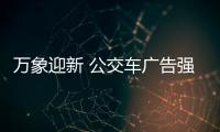 快排公司十年历程，霸屏兔 seo 的崛起与坚守
