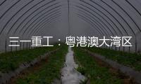 三一重工
：粤港澳大湾区绿色运输新突破：新能源重卡开启跨境物流新纪元