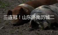 三连冠
！山东济南历城二中女足获得全国青少年校园足球联赛总冠军