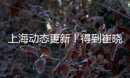 反正球迷都有点懵逼
