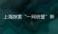 快排公司十年历程，霸屏兔 seo 的崛起与坚守