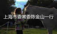 快排公司十年历程，霸屏兔 seo 的崛起与坚守