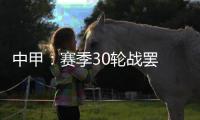 快排公司十年历程，霸屏兔 seo 的崛起与坚守