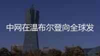 快排公司十年历程，霸屏兔 seo 的崛起与坚守
