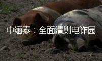 中缅泰：全面清剿电诈园区，全量抓捕涉诈人员