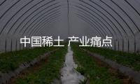 中国稀土 产业痛点