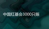 中国红基会3000只赈济家庭箱驰援云南、青海地震灾区