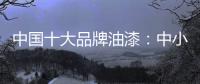 中国十大品牌油漆	：中小油漆企业需正确治理市场乱象