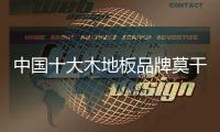 中国十大木地板品牌莫干山	：用“新意”呵护全家