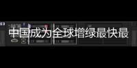 快排公司十年历程，霸屏兔 seo 的崛起与坚守