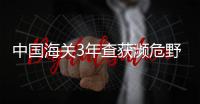 快排公司十年历程，霸屏兔 seo 的崛起与坚守