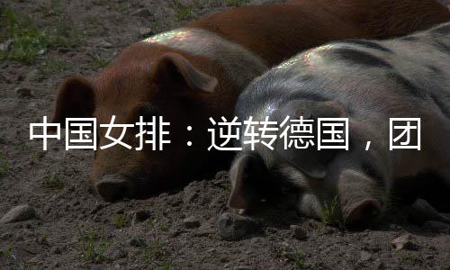 中国在场上打得非常顽强