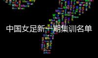 中国女足新一期集训名单
：王霜吴海燕领衔