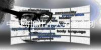 快排公司十年历程，霸屏兔 seo 的崛起与坚守