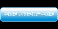 中国足协招标打造中国足球行业大模型
，投标限价1068万元
