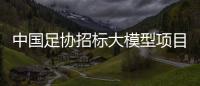 中国足协招标大模型项目
，能帮助球员进球吗
？