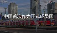 快排公司十年历程，霸屏兔 seo 的崛起与坚守