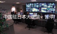 快排公司十年历程，霸屏兔 seo 的崛起与坚守