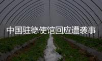 中国驻德使馆回应遭袭事件：无伤亡 嫌疑人被当场抓获