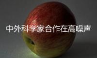 快排公司十年历程，霸屏兔 seo 的崛起与坚守