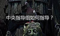 中央指导组如何指导？