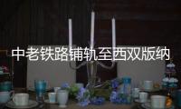 快排公司十年历程，霸屏兔 seo 的崛起与坚守