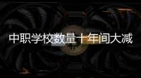 中职学校数量十年间大减，但“这不是坏事”