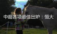 快排公司十年历程，霸屏兔 seo 的崛起与坚守