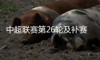 快排公司十年历程，霸屏兔 seo 的崛起与坚守