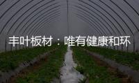 丰叶板材：唯有健康和环保不可辜负!