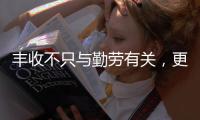 丰收不只与勤劳有关�，更与市场和风险相连丨记者手记