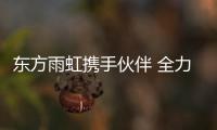 快排公司十年历程，霸屏兔 seo 的崛起与坚守