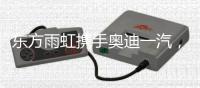 东方雨虹携手奥迪一汽，共探绿色未来