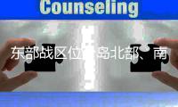 快排公司十年历程，霸屏兔 seo 的崛起与坚守