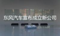 东风汽车宣布成立新公司，卓驭科技称Tier1需具备兜底能力