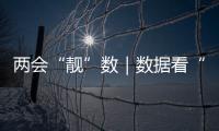 两会“靓”数｜数据看“民生”