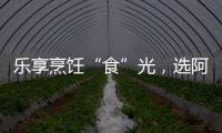 乐享烹饪“食”光，选阿诗丹顿灶具A325B