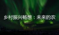 快排公司十年历程，霸屏兔 seo 的崛起与坚守