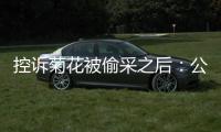 控诉菊花被偷采之后：公安出警	
、村干部下田维持秩序