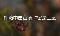 快排公司十年历程，霸屏兔 seo 的崛起与坚守