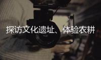 快排公司十年历程，霸屏兔 seo 的崛起与坚守