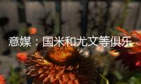 快排公司十年历程，霸屏兔 seo 的崛起与坚守