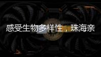 感受生物多样性	，珠海亲子家庭走进植物与昆虫的奇妙世界