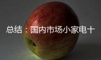 总结
：国内市场小家电十大品牌介绍