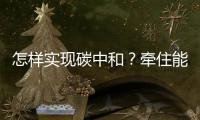 怎样实现碳中和？牵住能源牛鼻子
